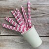 Pink Stripe Paper Straws