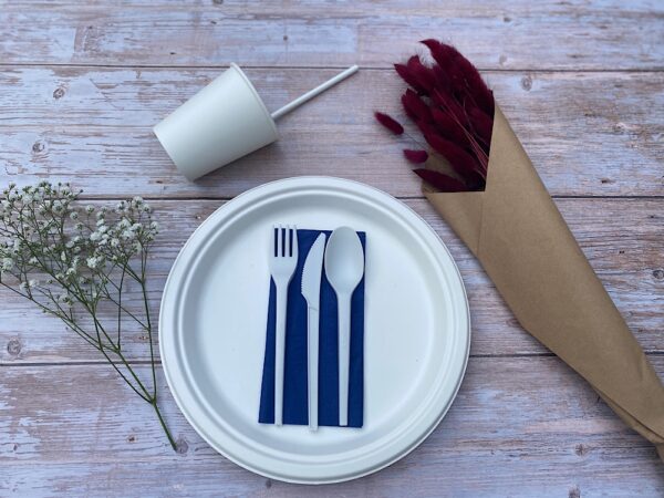White Round Sugarcane Plate (Medium)
