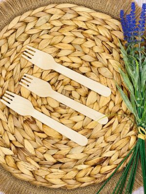 Birchwood Fork