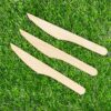 Birchwood Knife