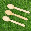 Birchwood Spoon