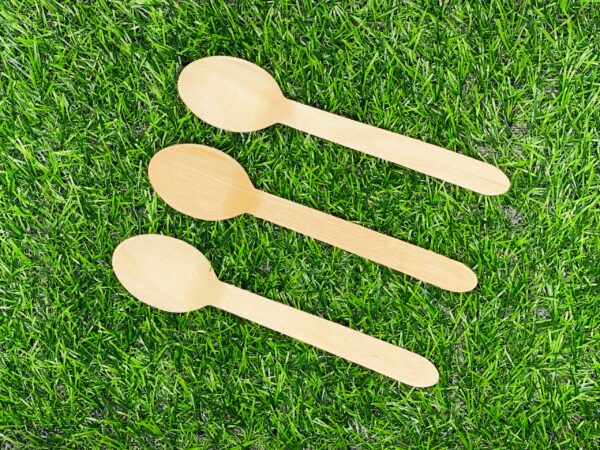 Birchwood Spoon