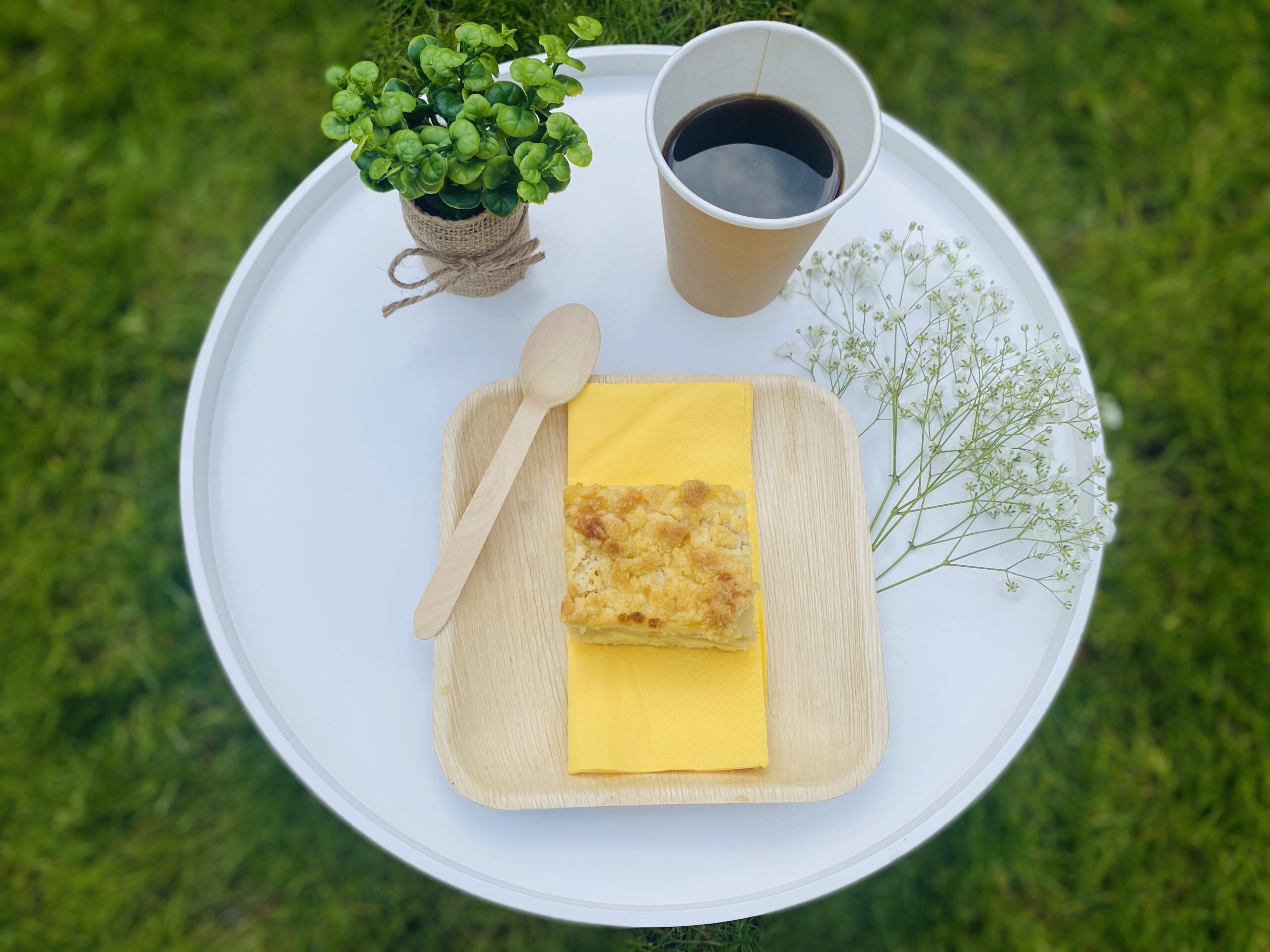 Square Palm Leaf Plate (pack of 8)