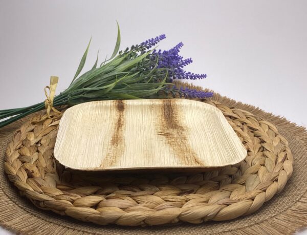 Square Palm Leaf Plate