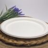 White Round Sugarcane Plate (Large)