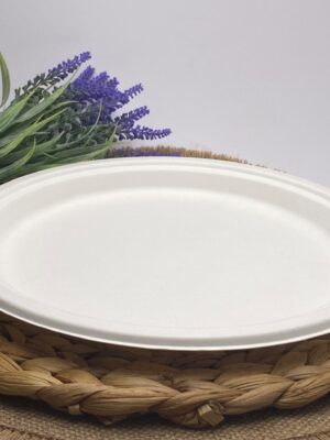 White Round Sugarcane Plate (Large)