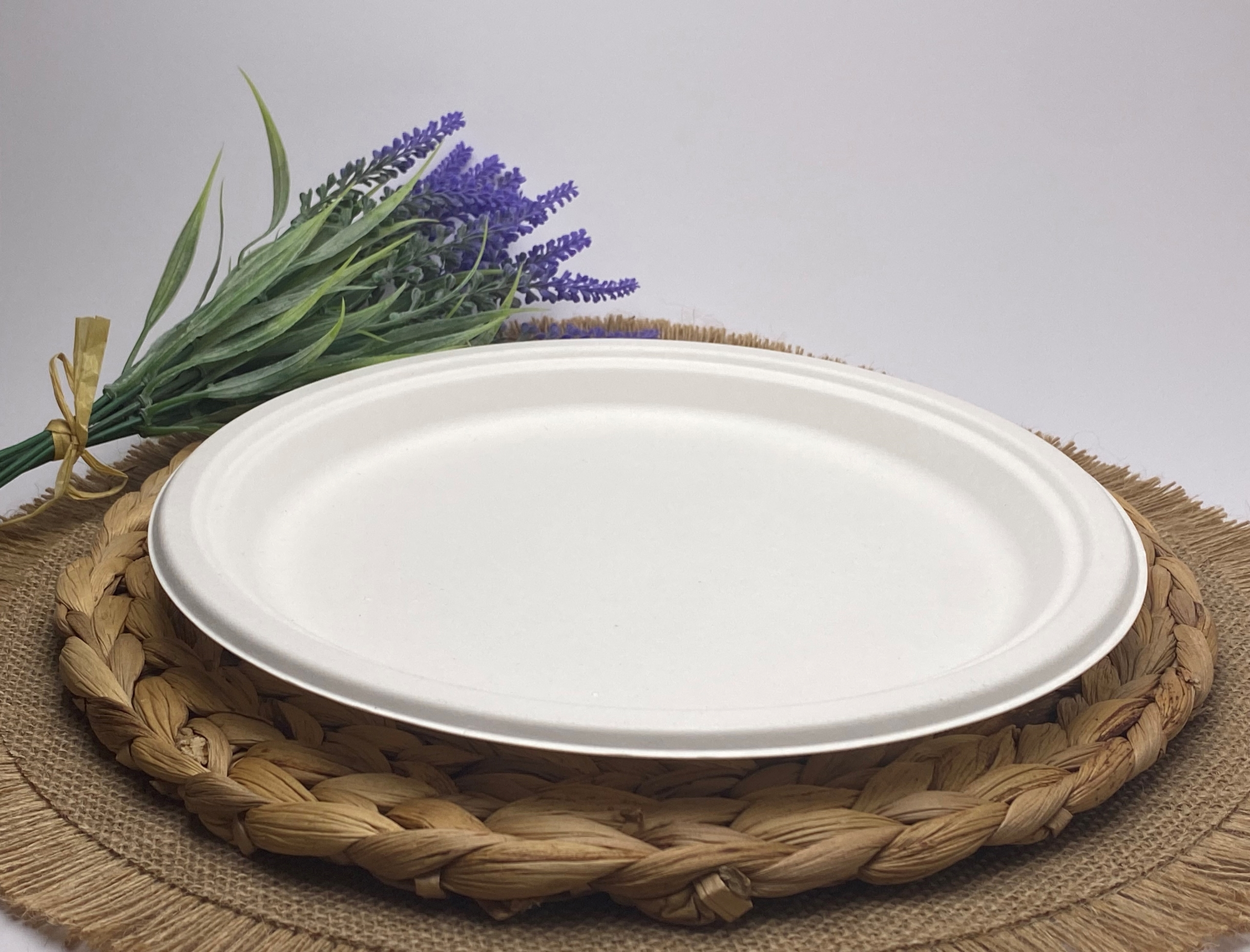 White Round Sugarcane Plate (Large)