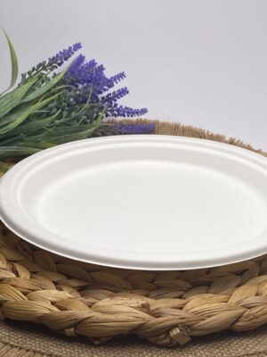 White Round Sugarcane Plate (Medium)