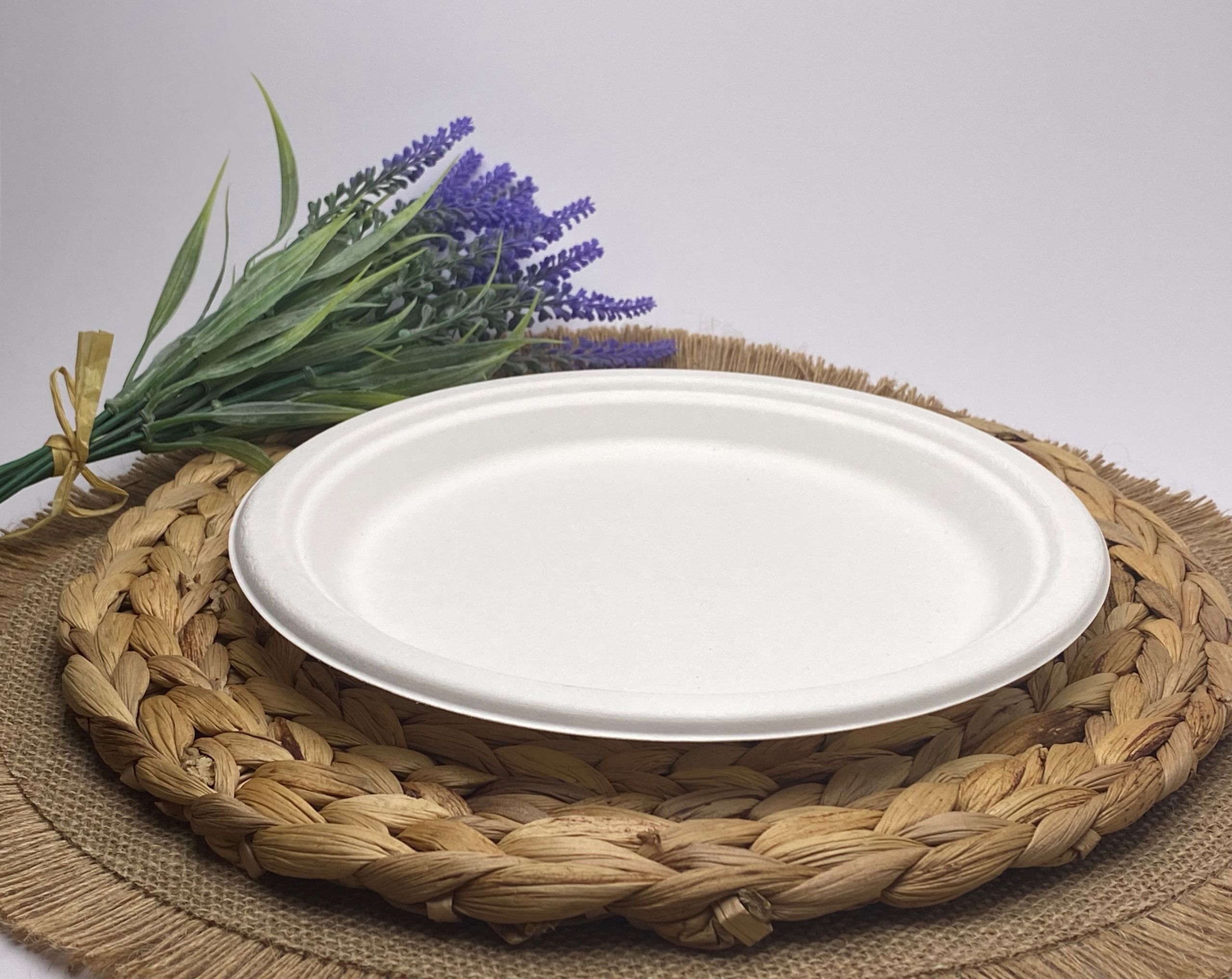 White Round Sugarcane Plate (Medium)