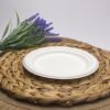 White Round Sugarcane Plate (Small)