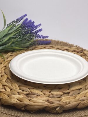 White Round Sugarcane Plate (Small)