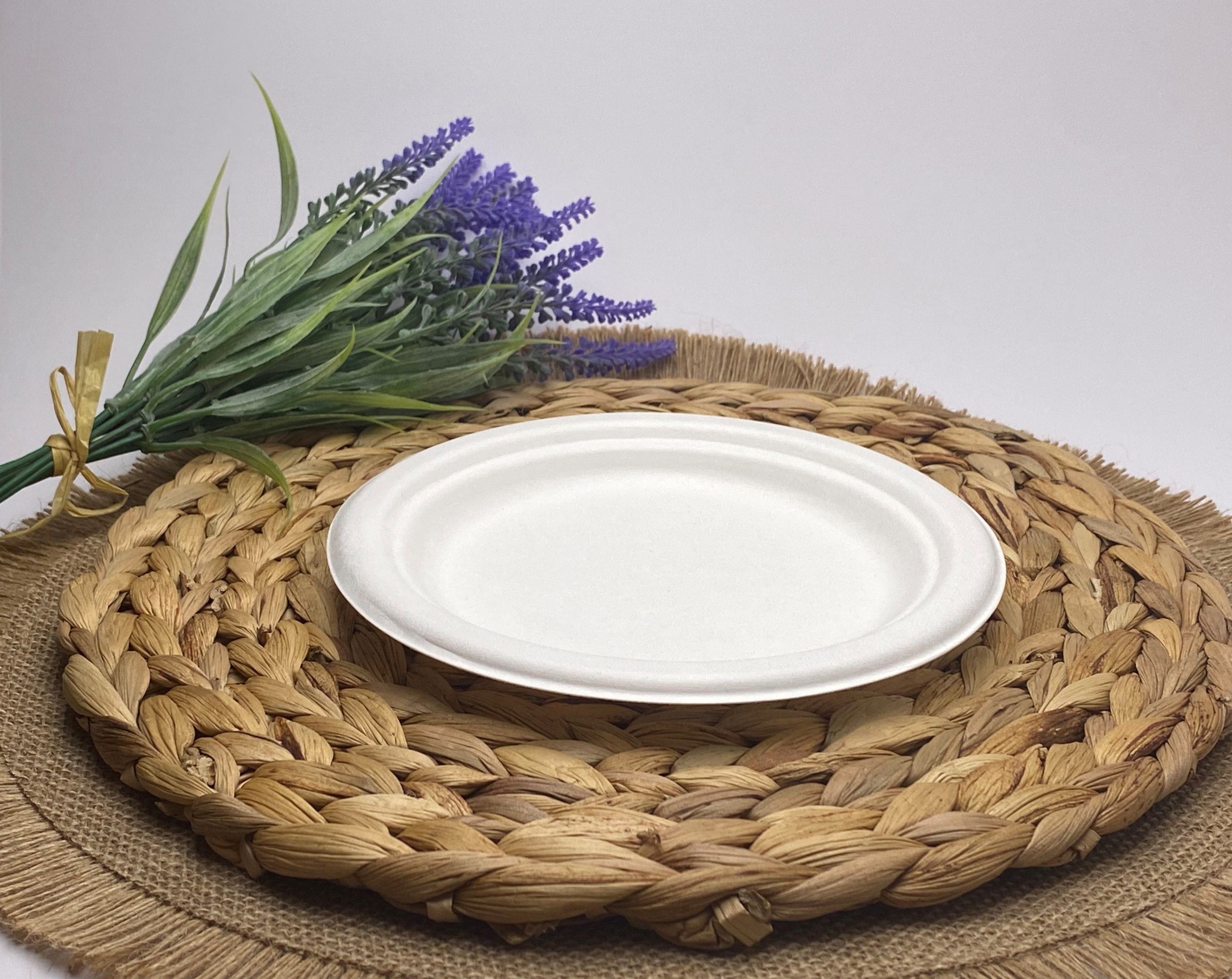 White Round Sugarcane Plate (Small)