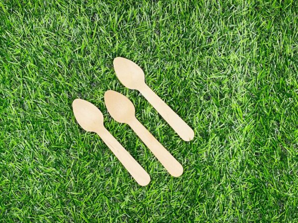 Birchwood Teaspoon