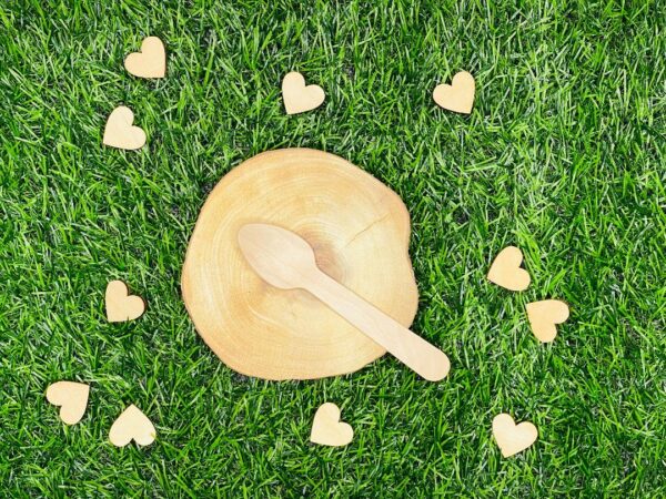 Birch Wood Teaspoon