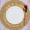 White Round Sugarcane Plate (Medium)