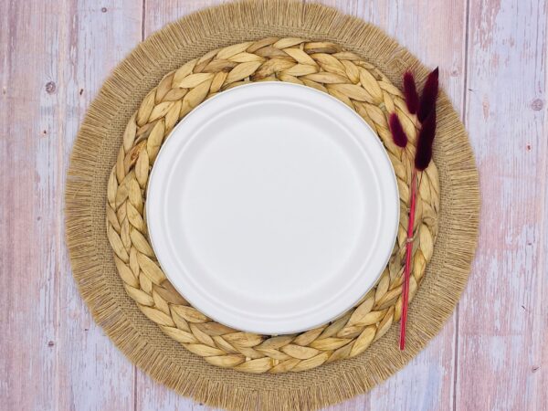 White Round Sugarcane Plate (Medium)