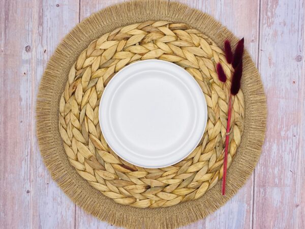 White Round Sugarcane Plate (Small)
