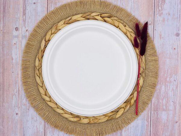 White Round Sugarcane Plate (Large)