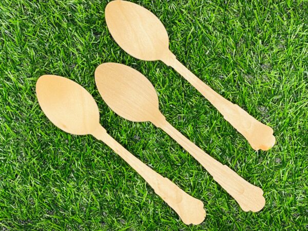 Birchwood Vintage Spoon