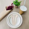 White Paper Straws