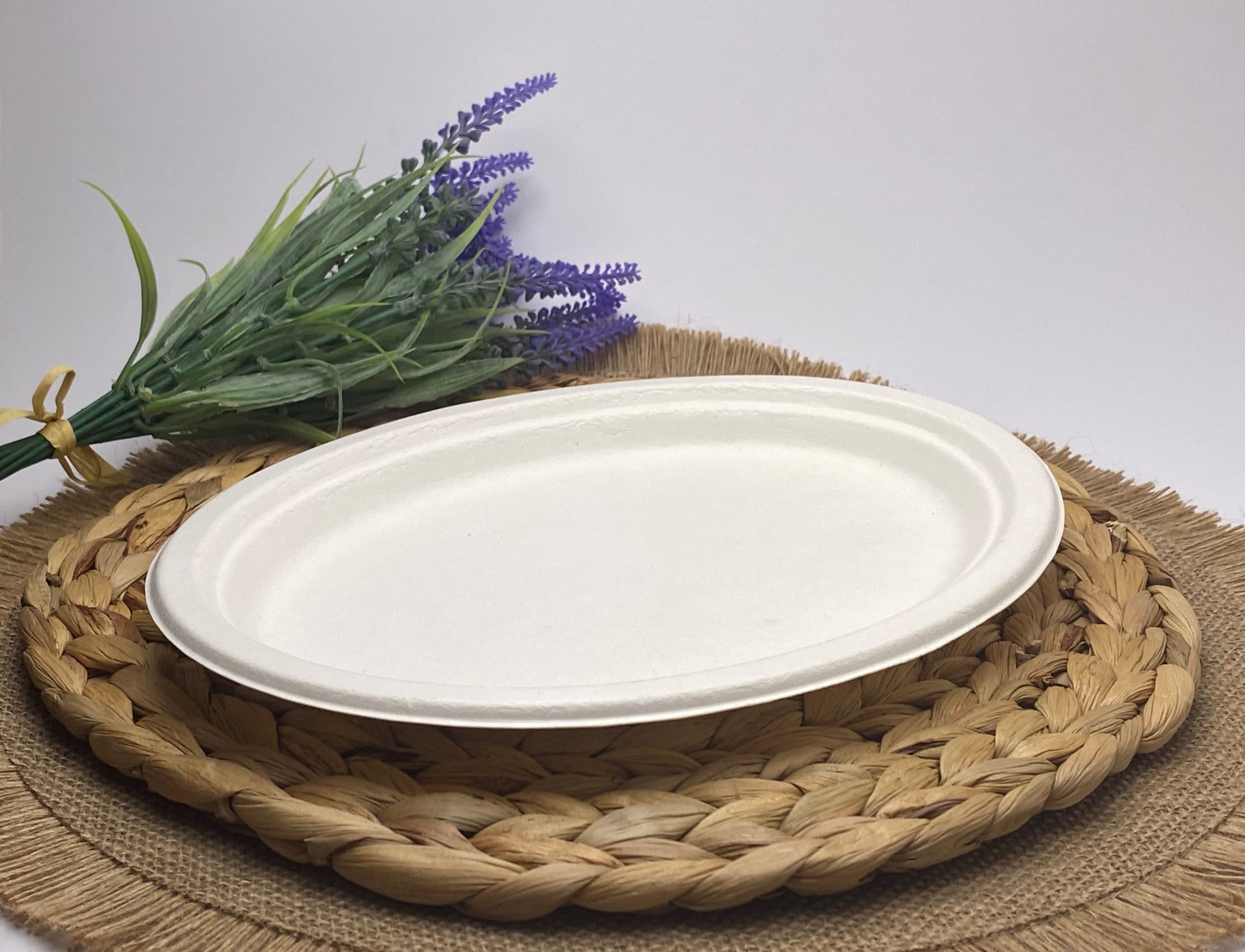 White Oval Sugarcane Platter