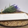 White Rectangular Sugarcane Platter