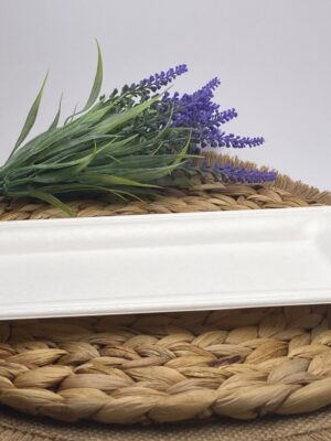 White Rectangular Sugarcane Platter