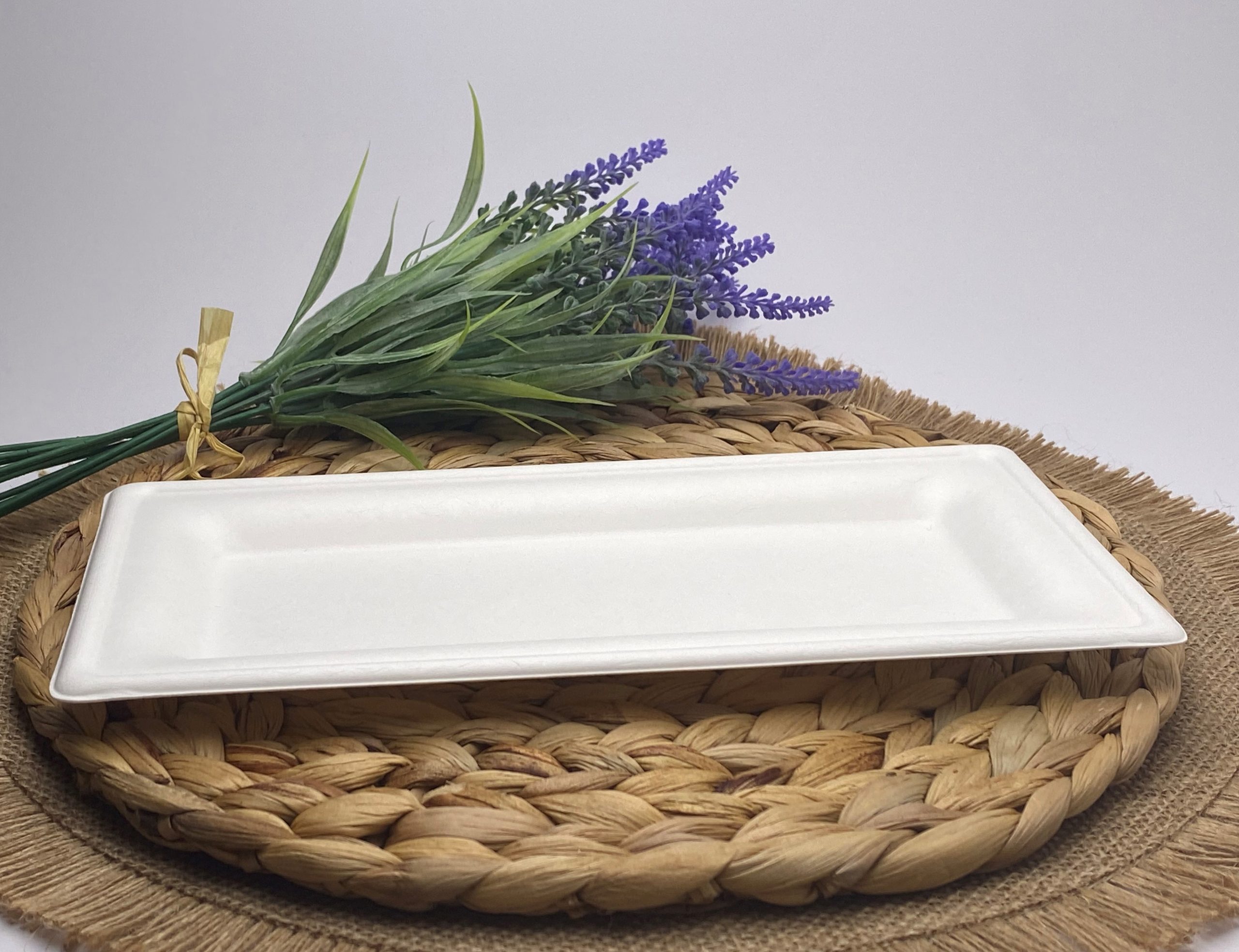 White Rectangular Sugarcane Platter