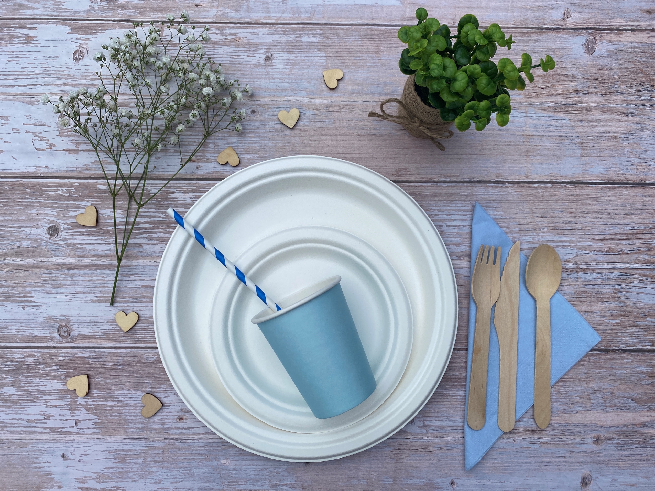 Blue Stripe Paper Straws