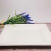 White Square Sugarcane Plate (Large)