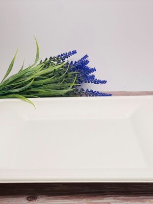 White Square Sugarcane Plate (Large)