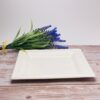 White Square Sugarcane Plate (Medium)