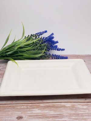 White Square Sugarcane Plate (Medium)