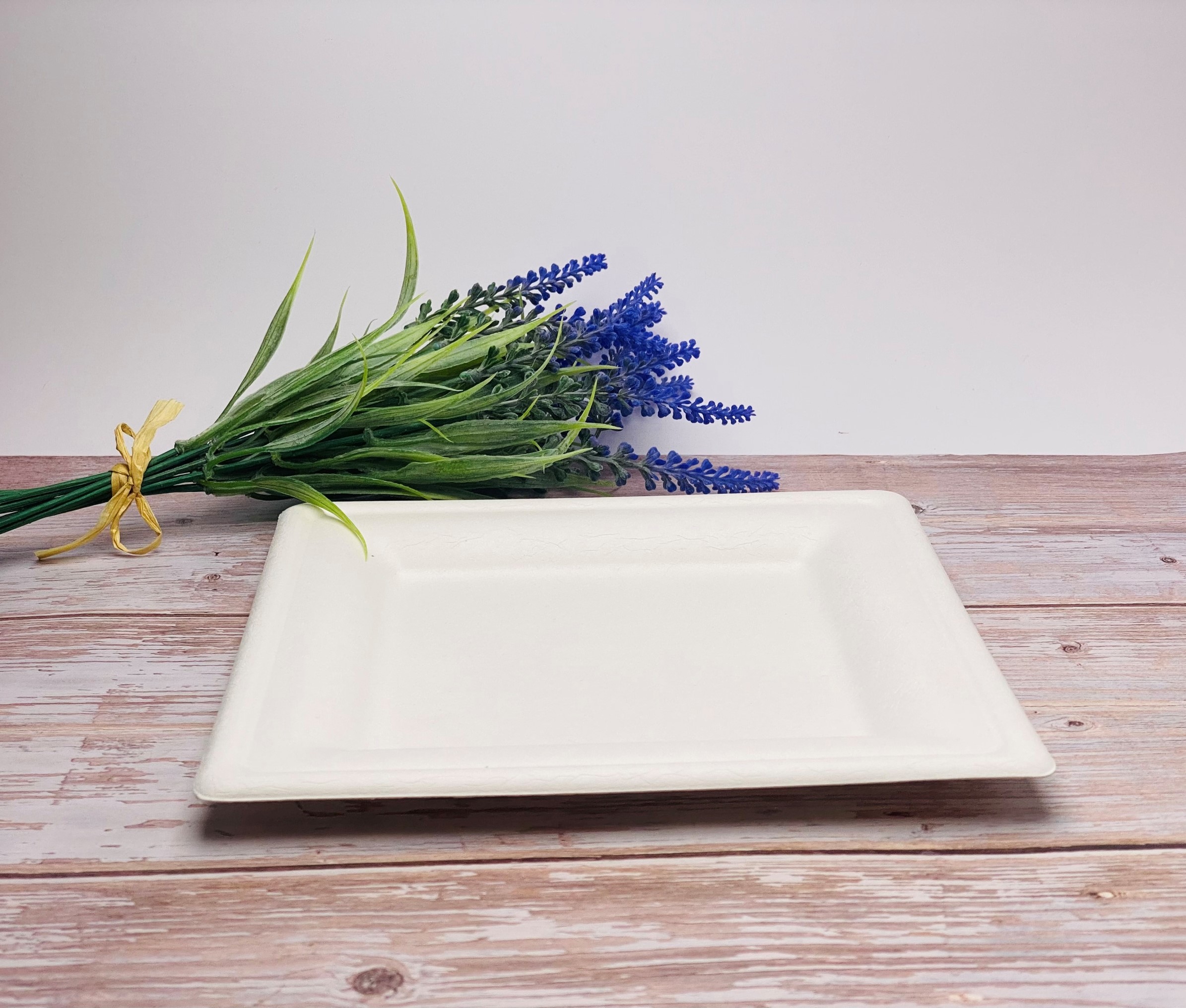 White Square Sugarcane Plate (Medium)