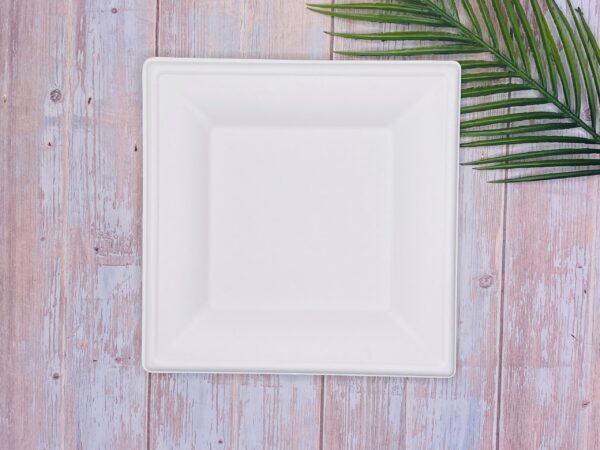 White Square Sugarcane Plate (Large)