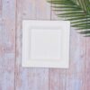 White Square Sugarcane Plate (Medium)