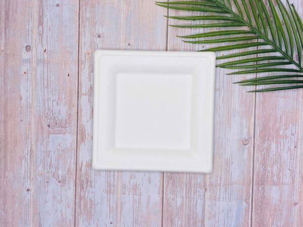 White Square Sugarcane Plate (Medium)