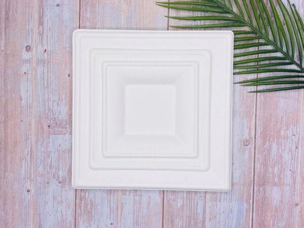 White Square Sugarcane Plate (Medium)