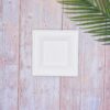 White Square Sugarcane Plate (Small)