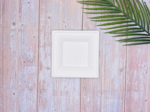 White Square Sugarcane Plate (Small)