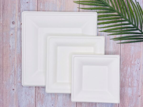 White Square Sugarcane Plate (Large)