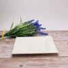 White Square Sugarcane Plate (Small)