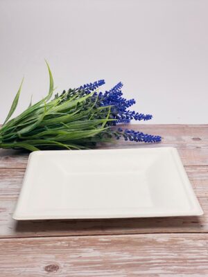 White Square Sugarcane Plate (Small)