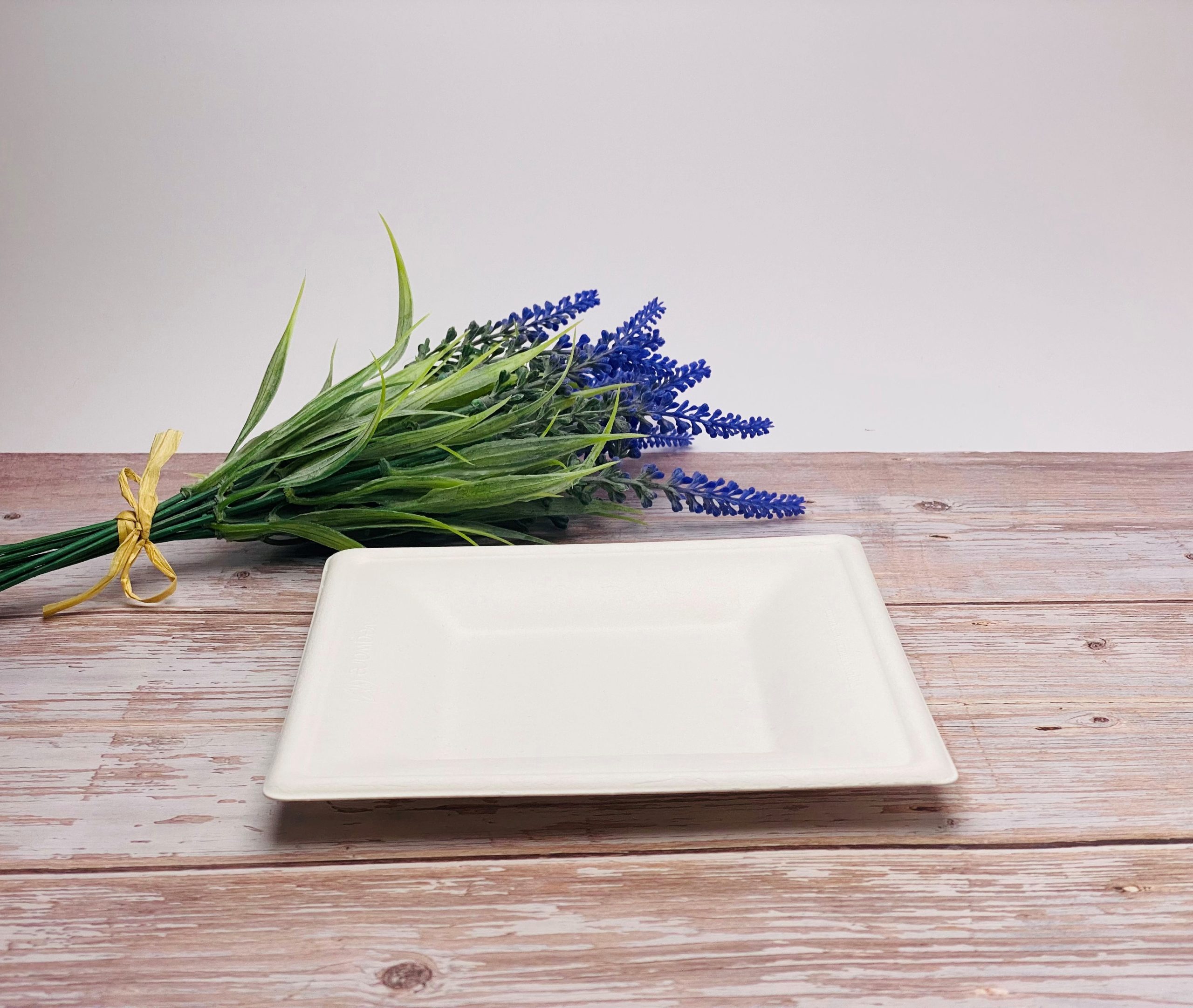 White Square Sugarcane Plate (Small)