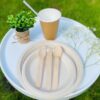 Natural Round Wheat Plate (Small)