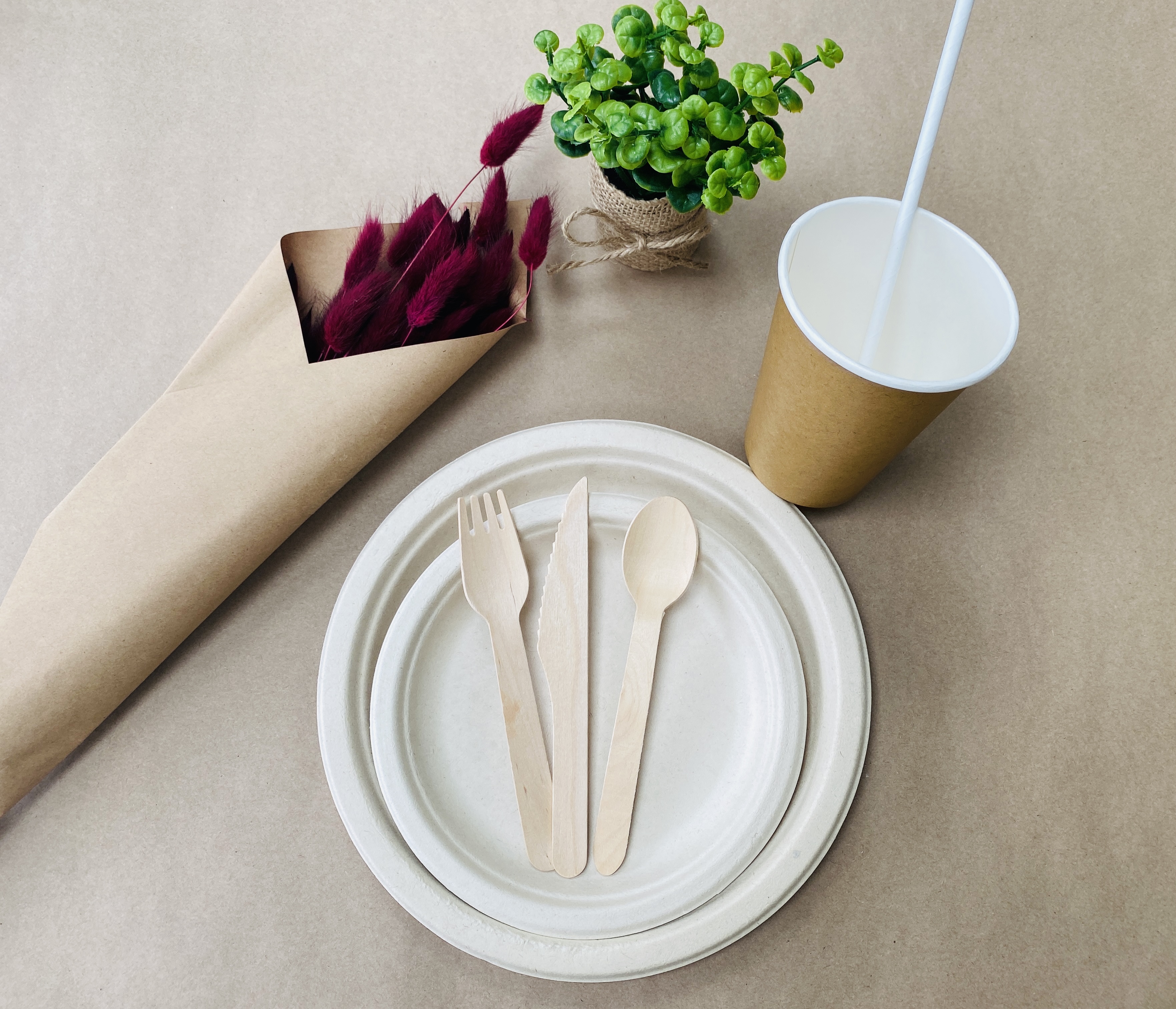 White Round Sugarcane Plate (Small)
