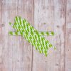 Green Stripe Paper Straws