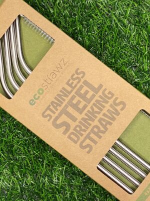 Stainless Steel Angled Straws
