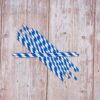 Blue Stripe Paper Straws