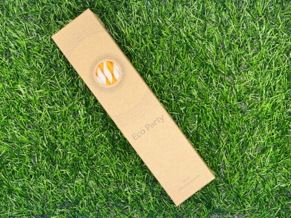 Orange Stripe Paper Straws